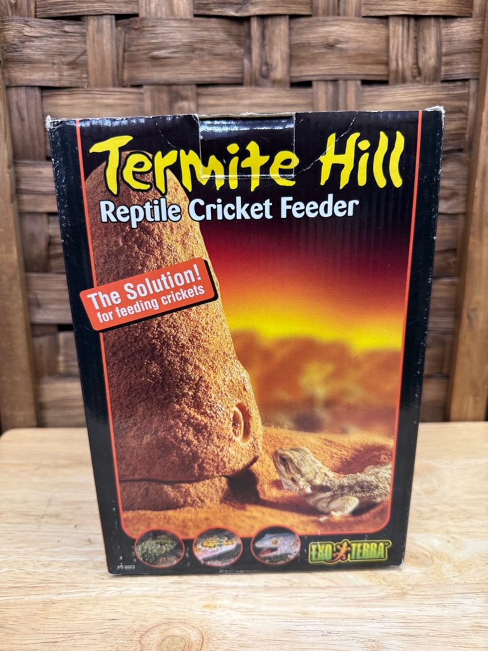 Exo Terra Termite Hill Reptile Cricket Feeder - Brown